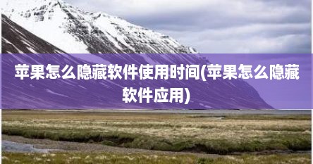 苹果怎么隐藏软件使用时间(苹果怎么隐藏软件应用)