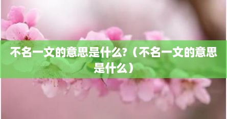 不名一文的意思是什么?（不名一文的意思是什么）