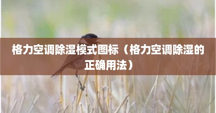 格力空调除湿模式图标（格力空调除湿的正确用法）