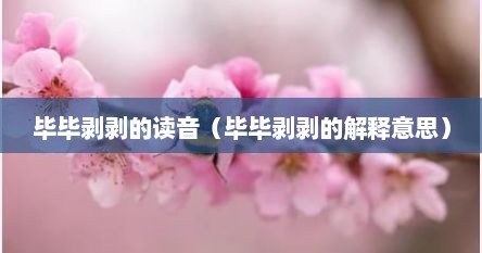 毕毕剥剥的读音（毕毕剥剥的解释意思）