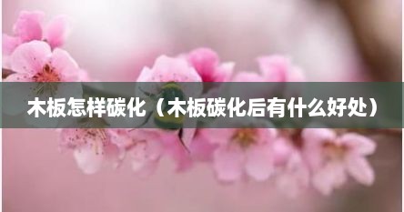 木板怎样碳化（木板碳化后有什么好处）