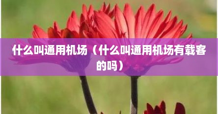 什么叫通用机场（什么叫通用机场有载客的吗）