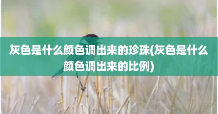 灰色是什么颜色调出来的珍珠(灰色是什么颜色调出来的比例)