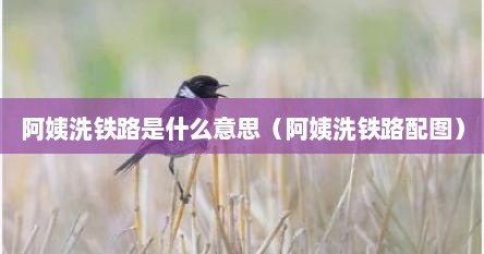 阿姨洗铁路是什么意思（阿姨洗铁路配图）