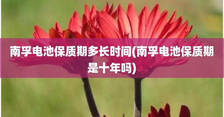南孚电池保质期多长时间(南孚电池保质期是十年吗)