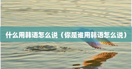 什么用韩语怎么说（你是谁用韩语怎么说）