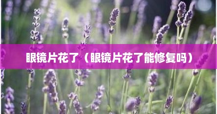 眼镜片花了（眼镜片花了能修复吗）