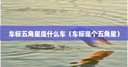 车标五角星是什么车（车标是个五角星）