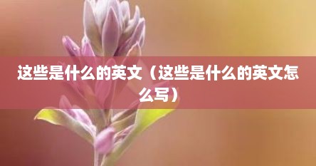 这些是什么的英文（这些是什么的英文怎么写）