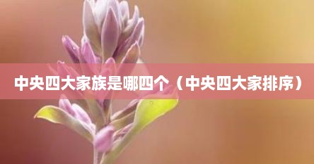 中央四大家族是哪四个（中央四大家排序）