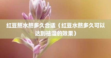 红豆熬水熬多久合适（红豆水熬多久可以达到祛湿的效果）