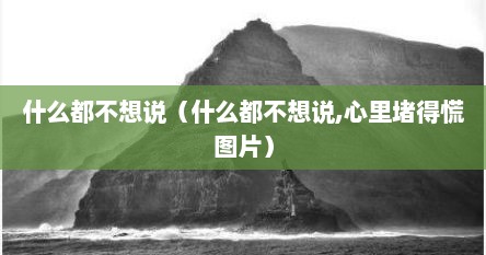什么都不想说（什么都不想说,心里堵得慌图片）