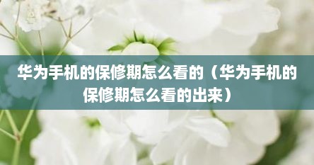 华为手机的保修期怎么看的（华为手机的保修期怎么看的出来）