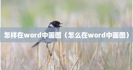 怎样在word中画图（怎么在word中画图）