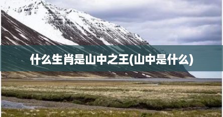 什么生肖是山中之王(山中是什么)