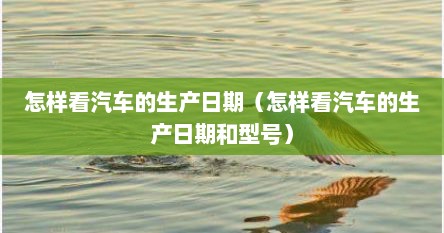 怎样看汽车的生产日期（怎样看汽车的生产日期和型号）