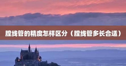 膛线管的精度怎样区分（膛线管多长合适）