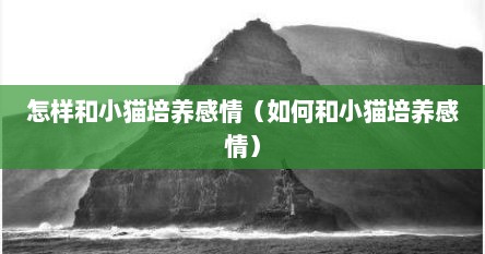 怎样和小猫培养感情（如何和小猫培养感情）