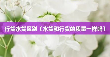 行货水货区别（水货和行货的质量一样吗）