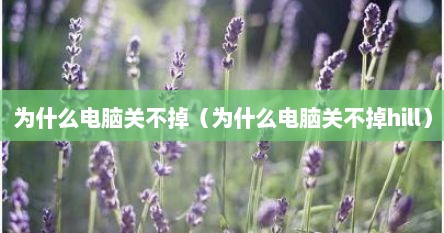 为什么电脑关不掉（为什么电脑关不掉hill）