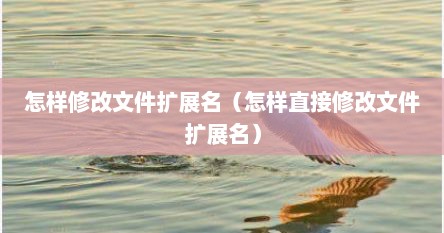 怎样修改文件扩展名（怎样直接修改文件扩展名）