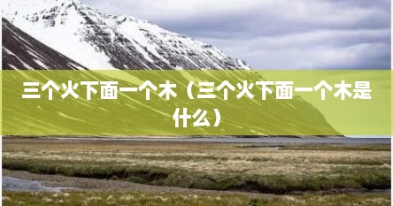 三个火下面一个木（三个火下面一个木是什么）