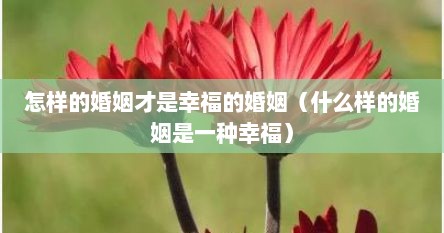 怎样的婚姻才是幸福的婚姻（什么样的婚姻是一种幸福）