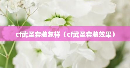 cf武圣套装怎样（cf武圣套装效果）