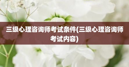 三级心理咨询师考试条件(三级心理咨询师考试内容)
