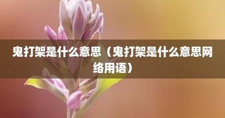 鬼打架是什么意思（鬼打架是什么意思网络用语）