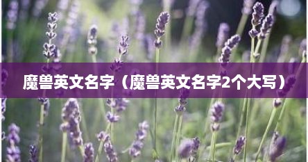 魔兽英文名字（魔兽英文名字2个大写）