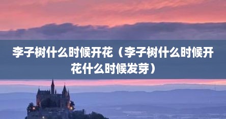 李子树什么时候开花（李子树什么时候开花什么时候发芽）