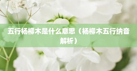 五行杨柳木是什么意思（杨柳木五行纳音解析）