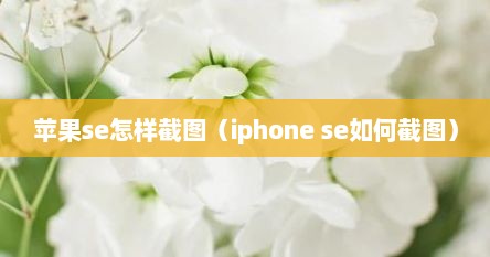 苹果se怎样截图（iphone se如何截图）