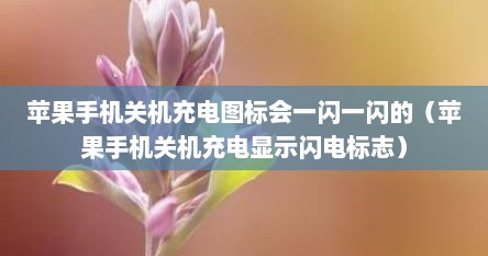 苹果手机关机充电图标会一闪一闪的（苹果手机关机充电显示闪电标志）