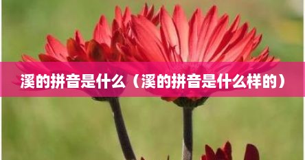 溪的拼音是什么（溪的拼音是什么样的）