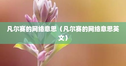 凡尔赛的网络意思（凡尔赛的网络意思英文）