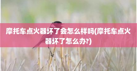 摩托车点火器坏了会怎么样吗(摩托车点火器坏了怎么办?)