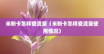 米粉卡怎样查流量（米粉卡怎样查流量使用情况）