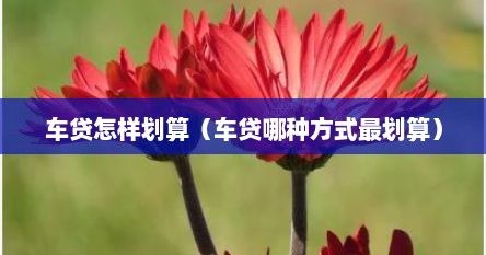 车贷怎样划算（车贷哪种方式最划算）