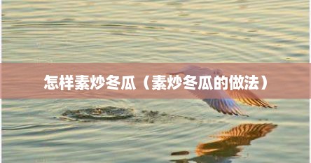怎样素炒冬瓜（素炒冬瓜的做法）