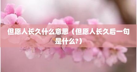 但愿人长久什么意思（但愿人长久后一句是什么?）