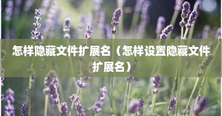 怎样隐藏文件扩展名（怎样设置隐藏文件扩展名）