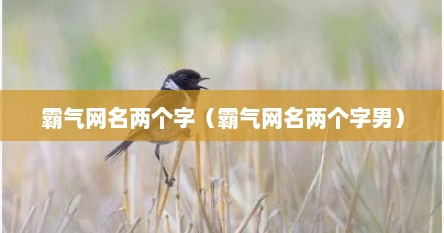 霸气网名两个字（霸气网名两个字男）