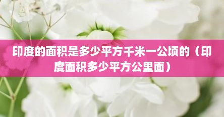 印度的面积是多少平方千米一公顷的（印度面积多少平方公里面）