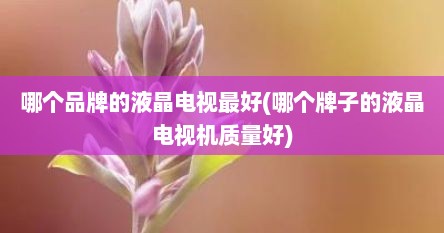 哪个品牌的液晶电视最好(哪个牌子的液晶电视机质量好)