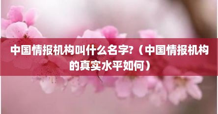 中国情报机构叫什么名字?（中国情报机构的真实水平如何）
