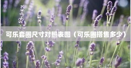 可乐套圈尺寸对照表图（可乐圈搭售多少）
