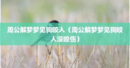 周公解梦梦见狗咬人（周公解梦梦见狗咬人没咬伤）