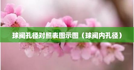 球阀孔径对照表图示图（球阀内孔径）